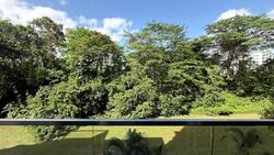 The Raintree (D21), Condominium #536267841